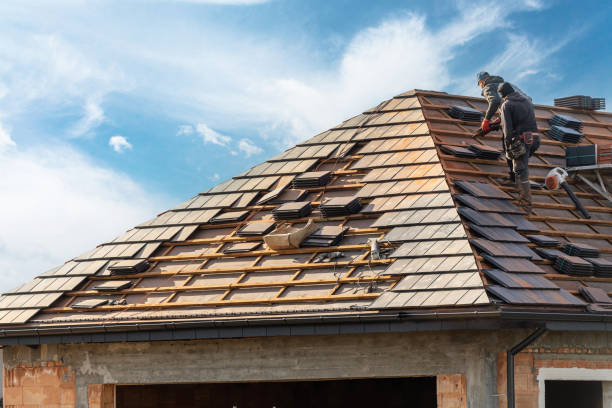 Best Roof Moss and Algae Removal  in Lincolnwood, IL