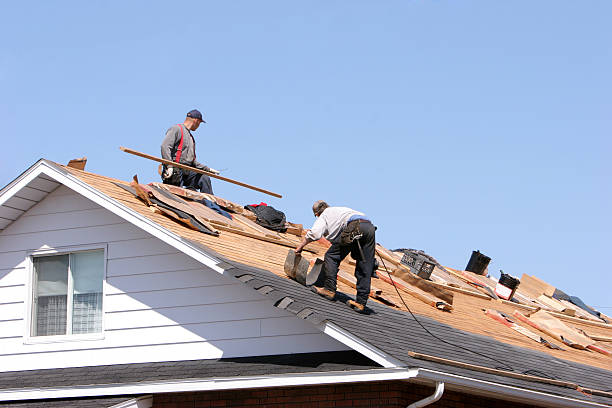 Best Roof Insulation Installation  in Lincolnwood, IL