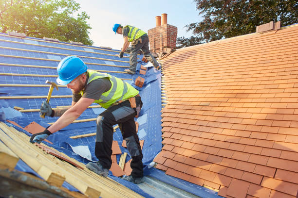 Best Rubber Roofing (EPDM, TPO)  in Lincolnwood, IL